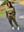 Obsessed Cargo Joggers