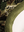 Heavy Metal Camo Flat Bill Hat
