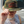 Cadet Flatbill Camo Hat