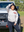 Backroads & Bad Decisions Pullover Hoodie