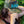 But did you Die? Camo Trucker Hat - Teal - OFF-ROAD VIXENS CLOTHING CO.